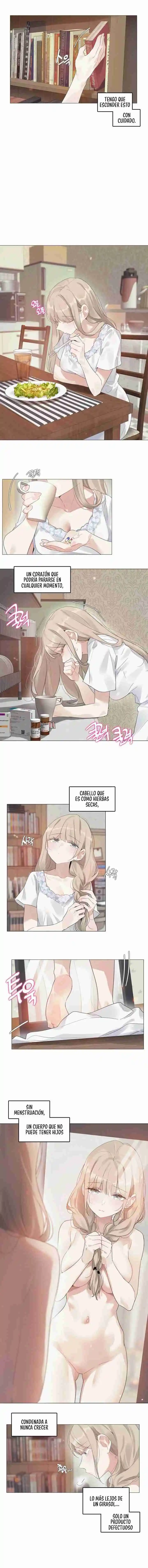 En La Temporada En Que Los Girasoles Susurran - Capítulo 3 - Página 3 - LectorTMOo