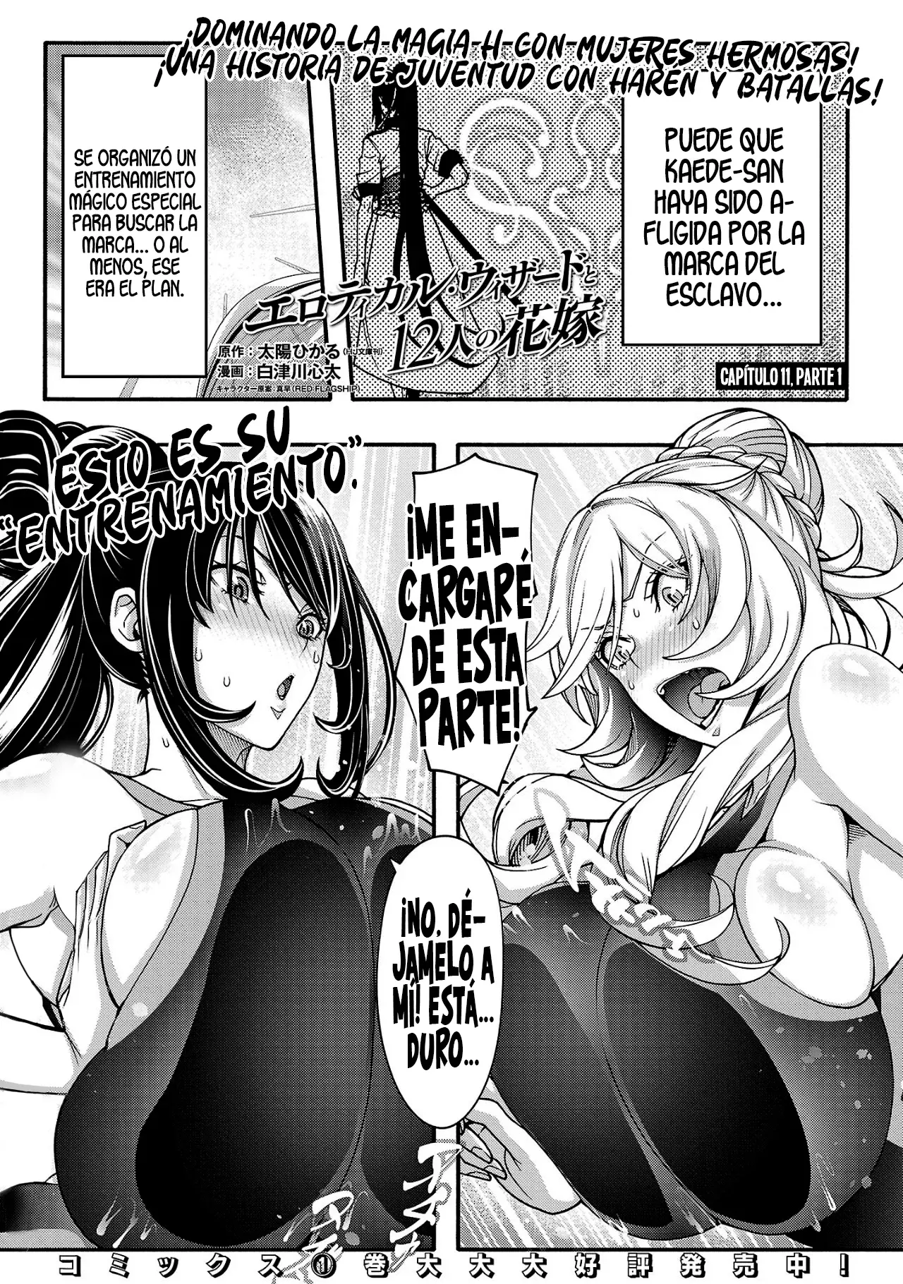 Erotical Wizard to 12 Nin No Hanayome capítulo 11 página 4
