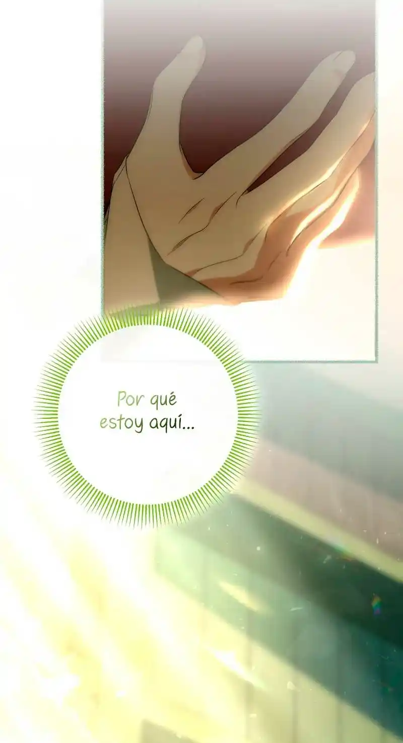 Es Mi Destino Convertirme En La Salvadora Del Protagonista Masculino - Capítulo 71 - Página 72 - LectorTMOo