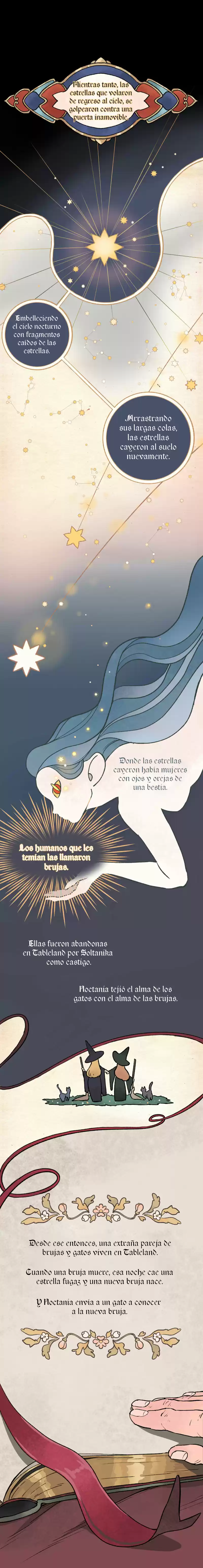 Espera Donde Ha Caído La Estrella Fugaz - Capítulo 3 - Página 15 - LectorTMOo