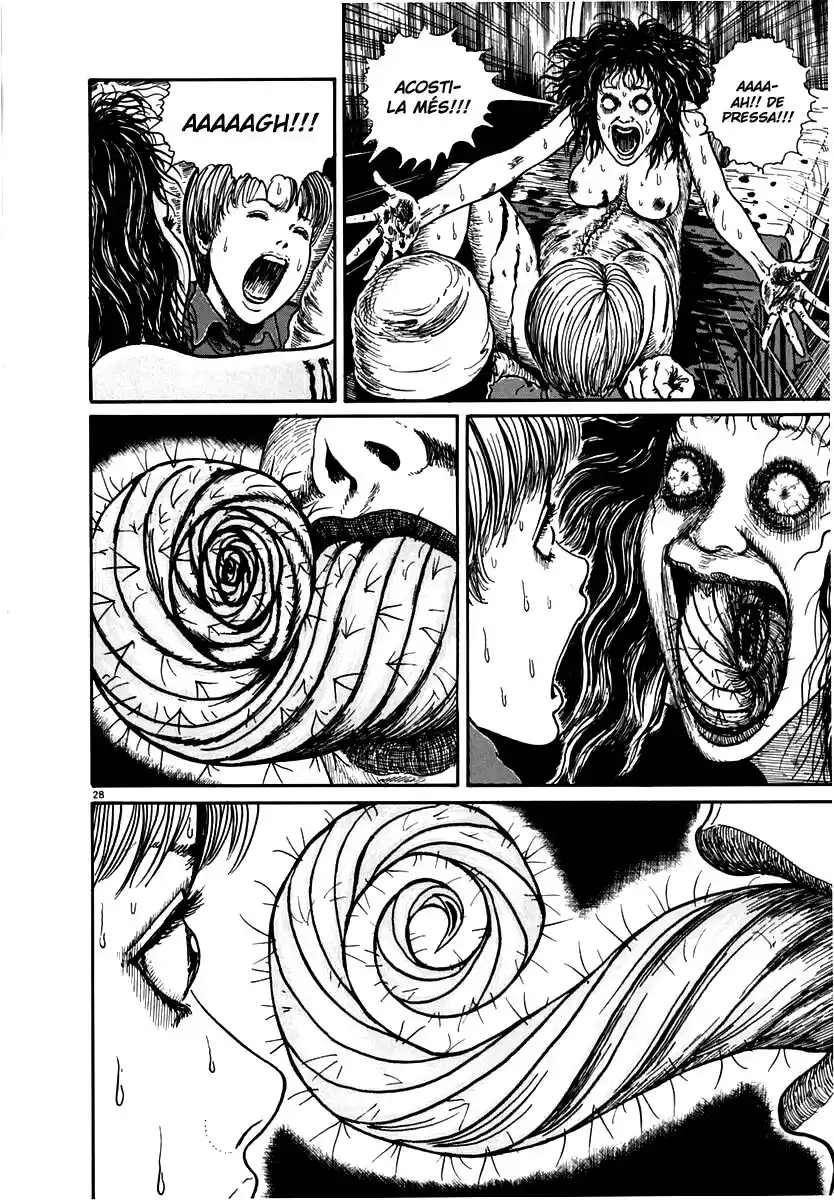 Espiral (Català) - Capítulo 11 - Página 28 - LectorTMOo