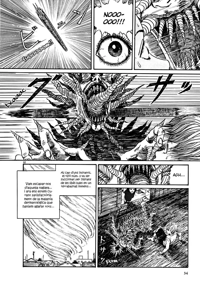 Espiral (Català) - Capítulo 13 - Página 32 - LectorTMOo