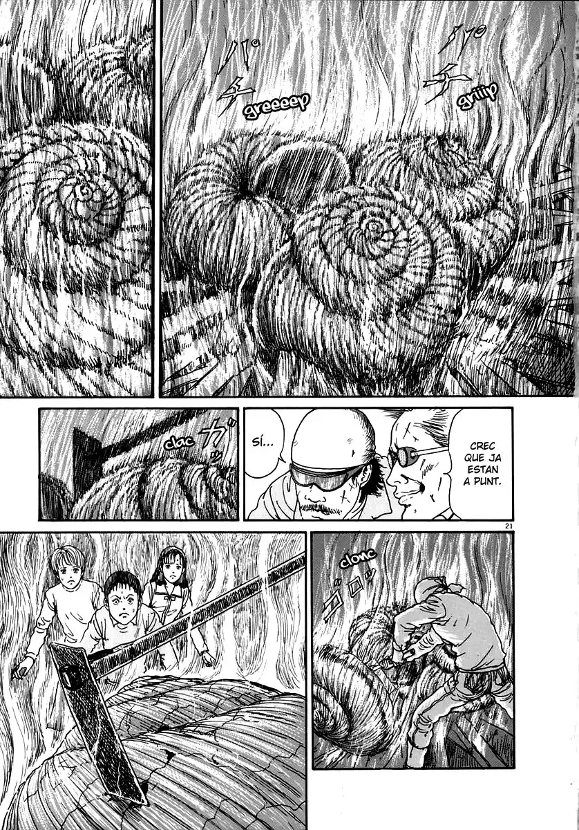 Espiral (Català) - Capítulo 15 - Página 21 - LectorTMOo