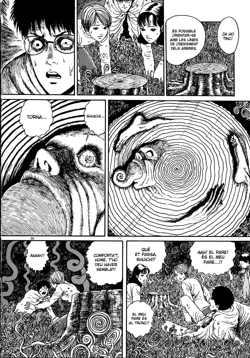 Espiral (Català) - Capítulo 17 - Página 20 - LectorTMOo