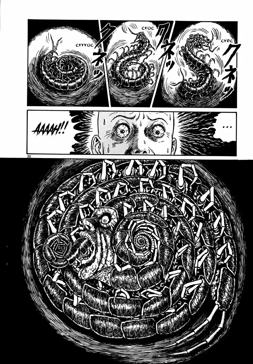 Espiral (Català) - Capítulo 2 - Página 17 - LectorTMOo
