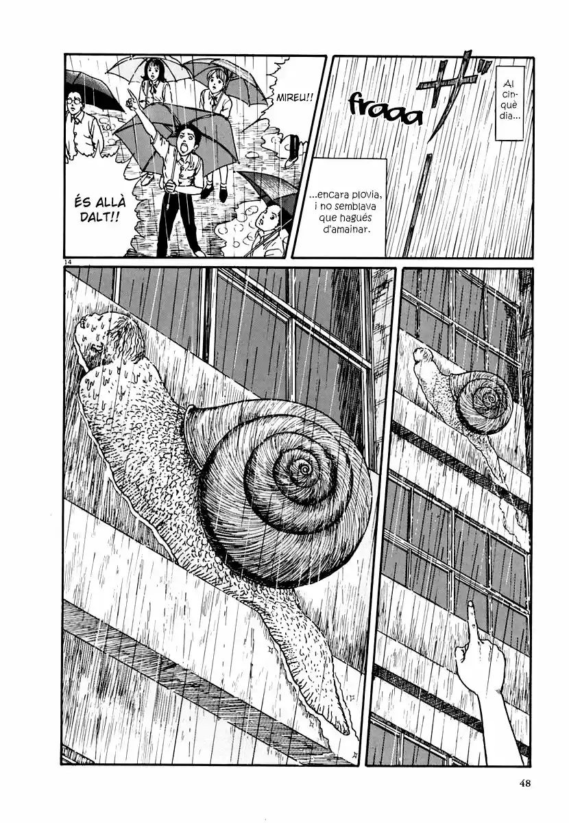 Espiral (Català) - Capítulo 8 - Página 14 - LectorTMOo