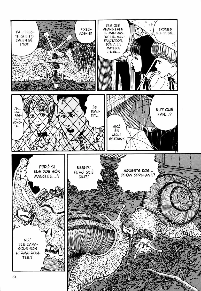 Espiral (Català) - Capítulo 8 - Página 27 - LectorTMOo