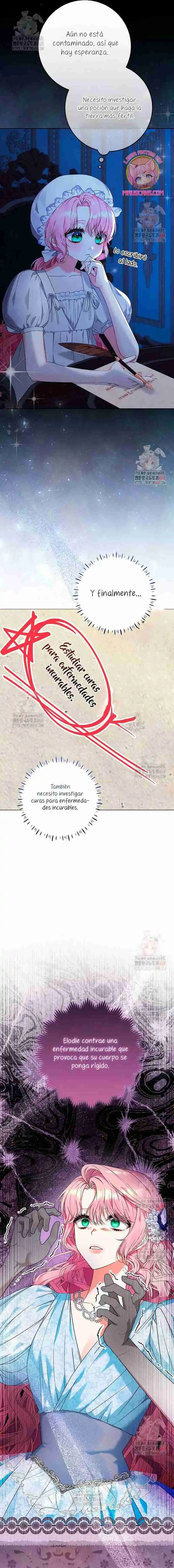 Estoy Lista Para Ser Divorciada - Capítulo 1 - Página 8 - LectorTMOo