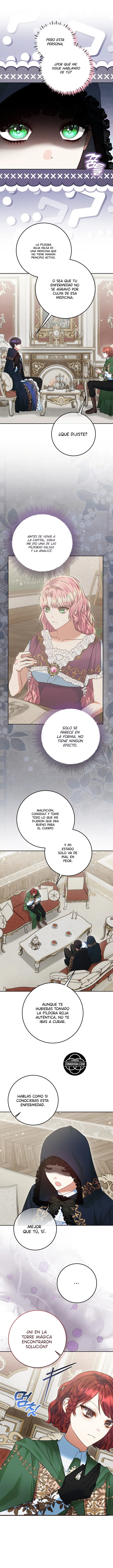 Estoy Lista Para Ser Divorciada - Capítulo 61 - Página 8 - LectorTMOo