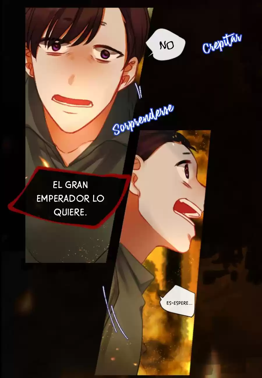 Evelyn, La Reina Mercenaria - Capítulo 18 - Página 10 - LectorTMOo