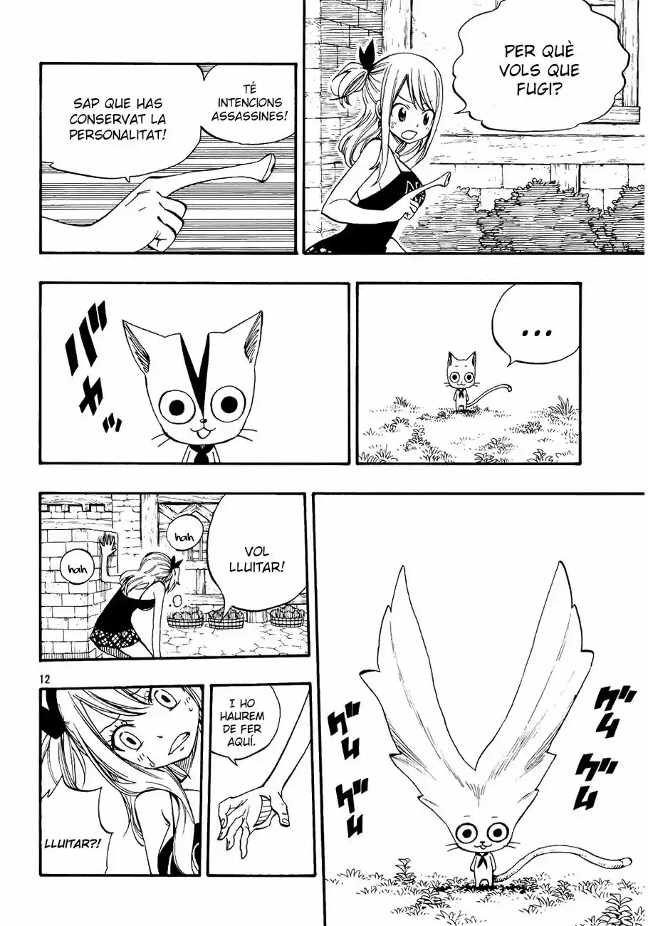 Fairy Tail (català) - Capítulo 0.2 - Página 12 - LectorTMOo