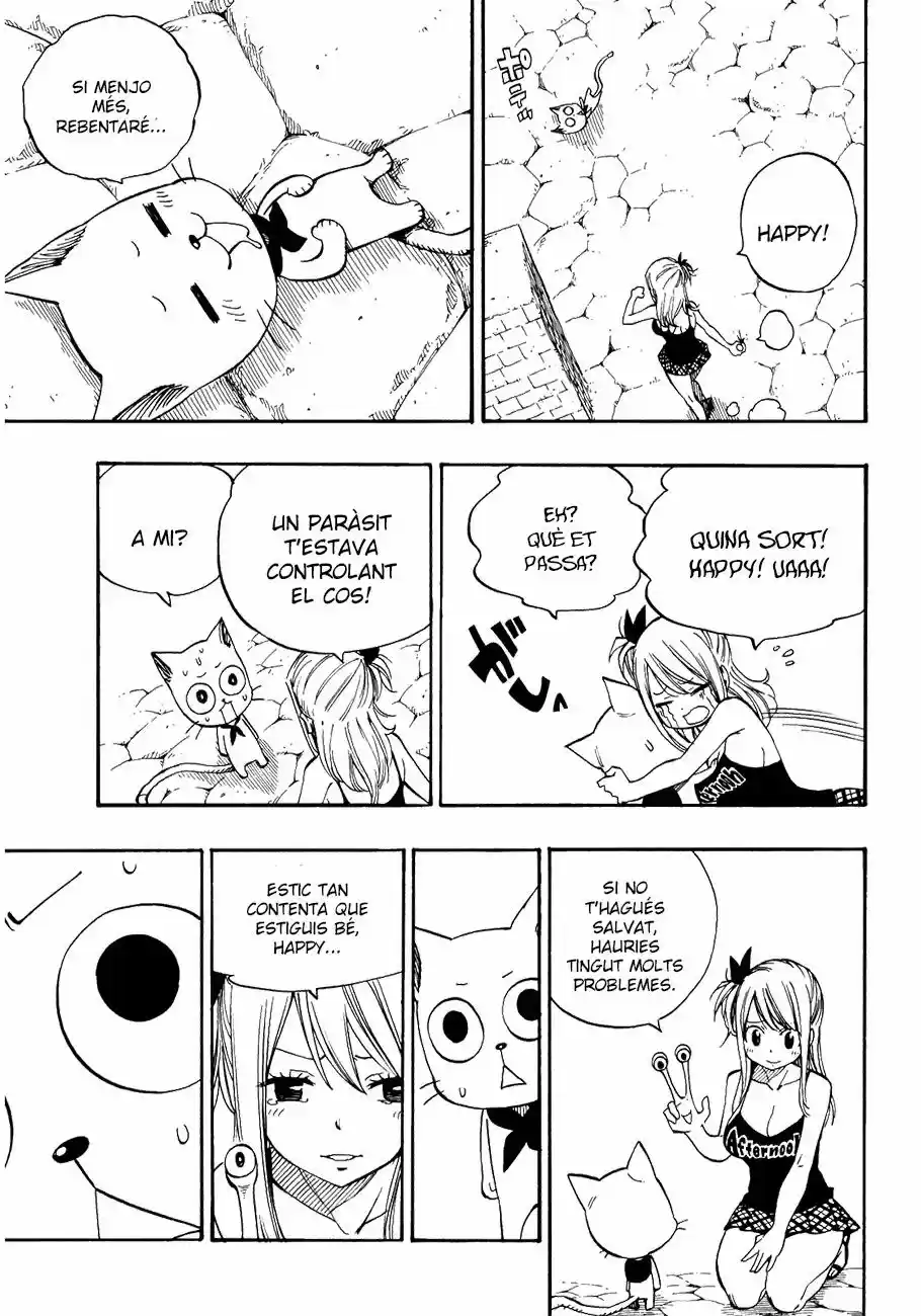 Fairy Tail (català) - Capítulo 0.2 - Página 17 - LectorTMOo