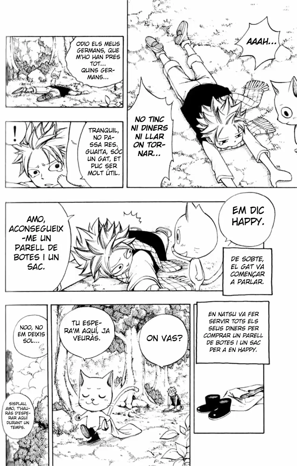Fairy Tail (català) - Capítulo 0.5 - Página 5 - LectorTMOo