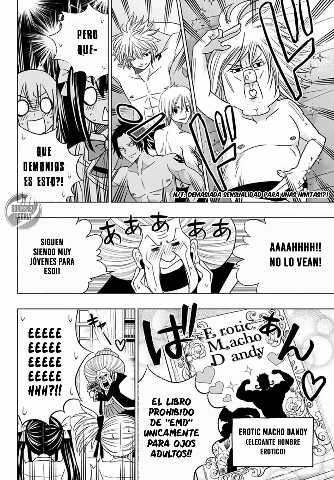 Fairy Tail City Hero - Capítulo 12 - Página 10 - LectorTMOo
