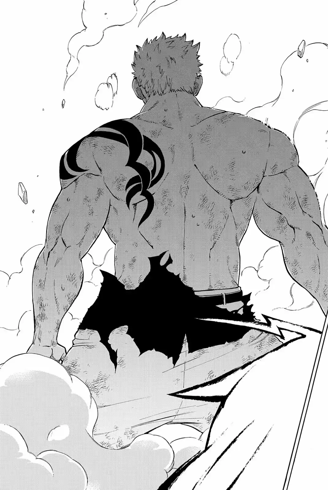 Fairy Tail - Ice Trail - Capítulo 17 - Página 9 - LectorTMOo