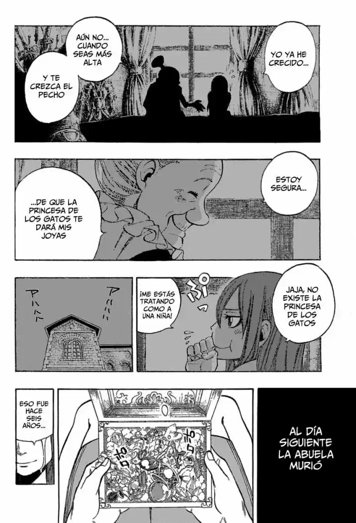 Fairy Tail - Capítulo 161.5 - Página 37 - LectorTMOo