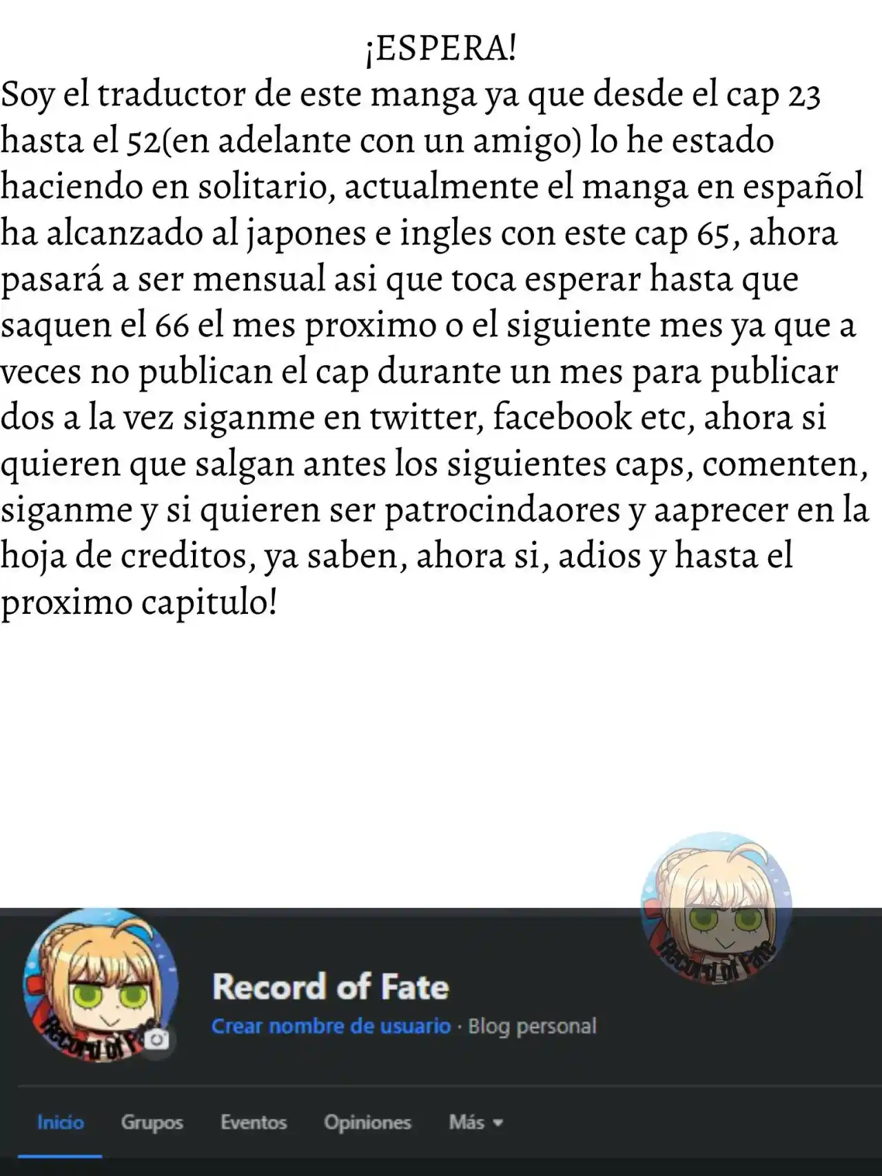 Fate/Apocrypha. - Capítulo 65 - Página 41 - LectorTMOo