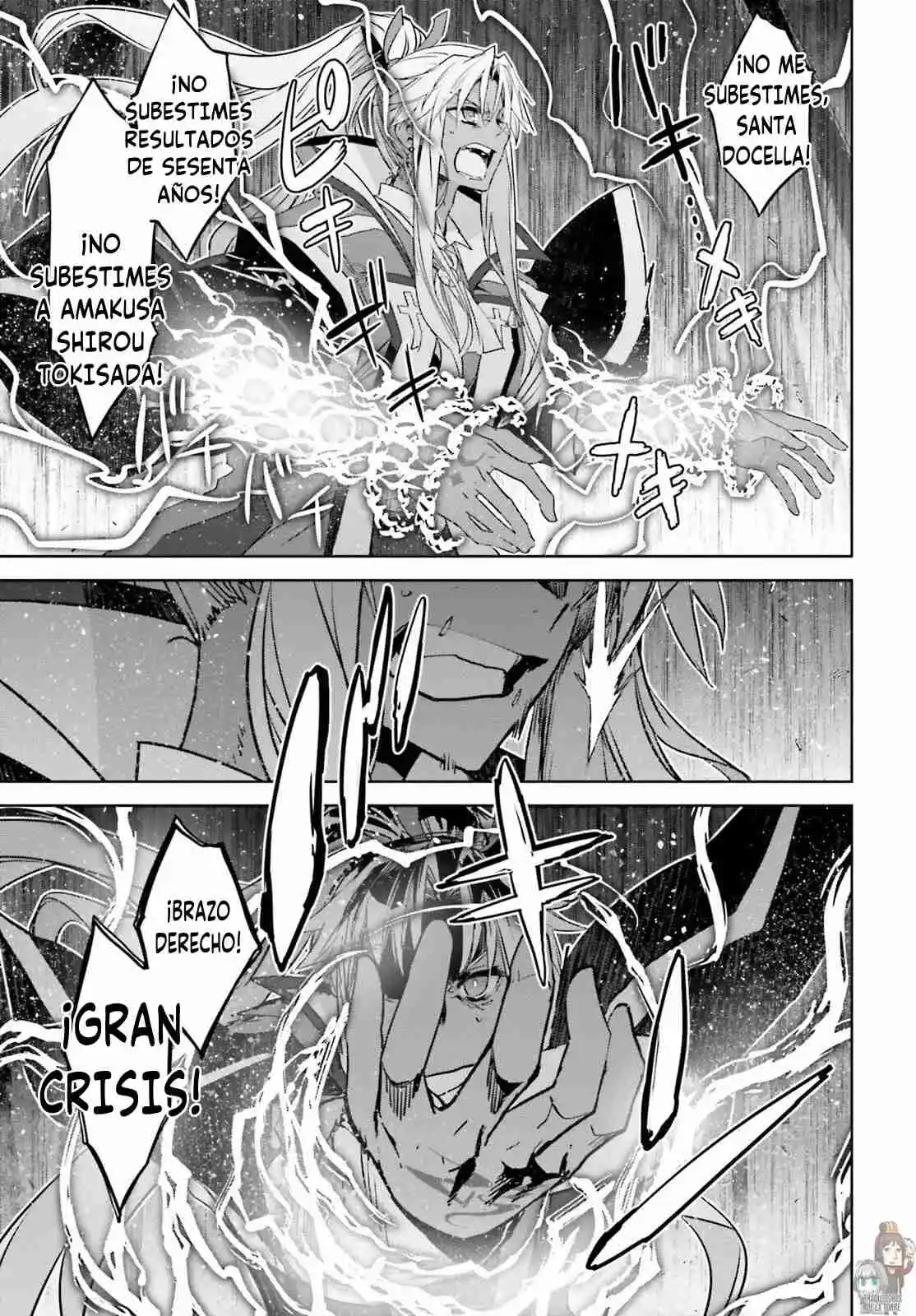 Fate/Apocrypha. - Capítulo 69 - Página 29 - LectorTMOo