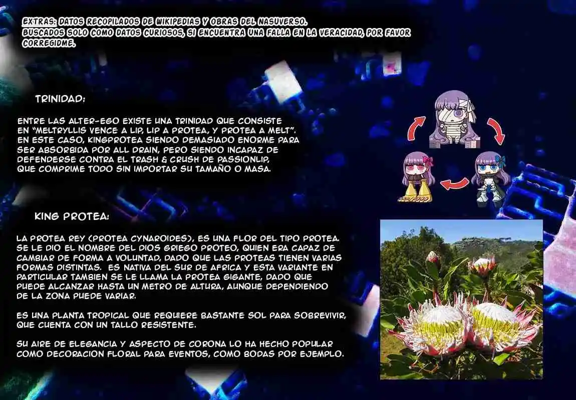 Fate Extra CCC Fox Tail - Capítulo 49.5 - Página 17 - LectorTMOo