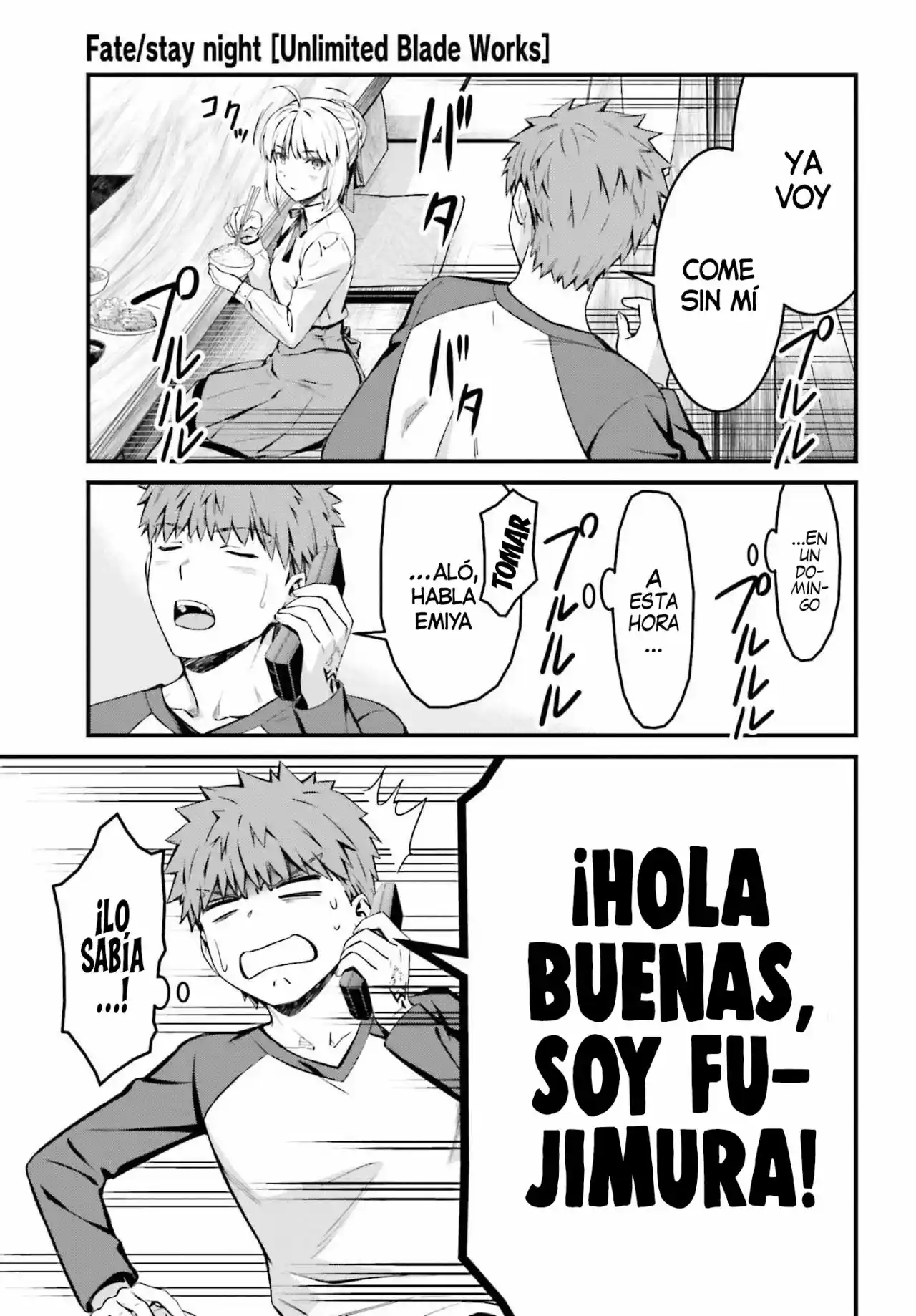 Fate/stay Night: Unlimited Blade Works - Capítulo 11 - Página 15 - LectorTMOo