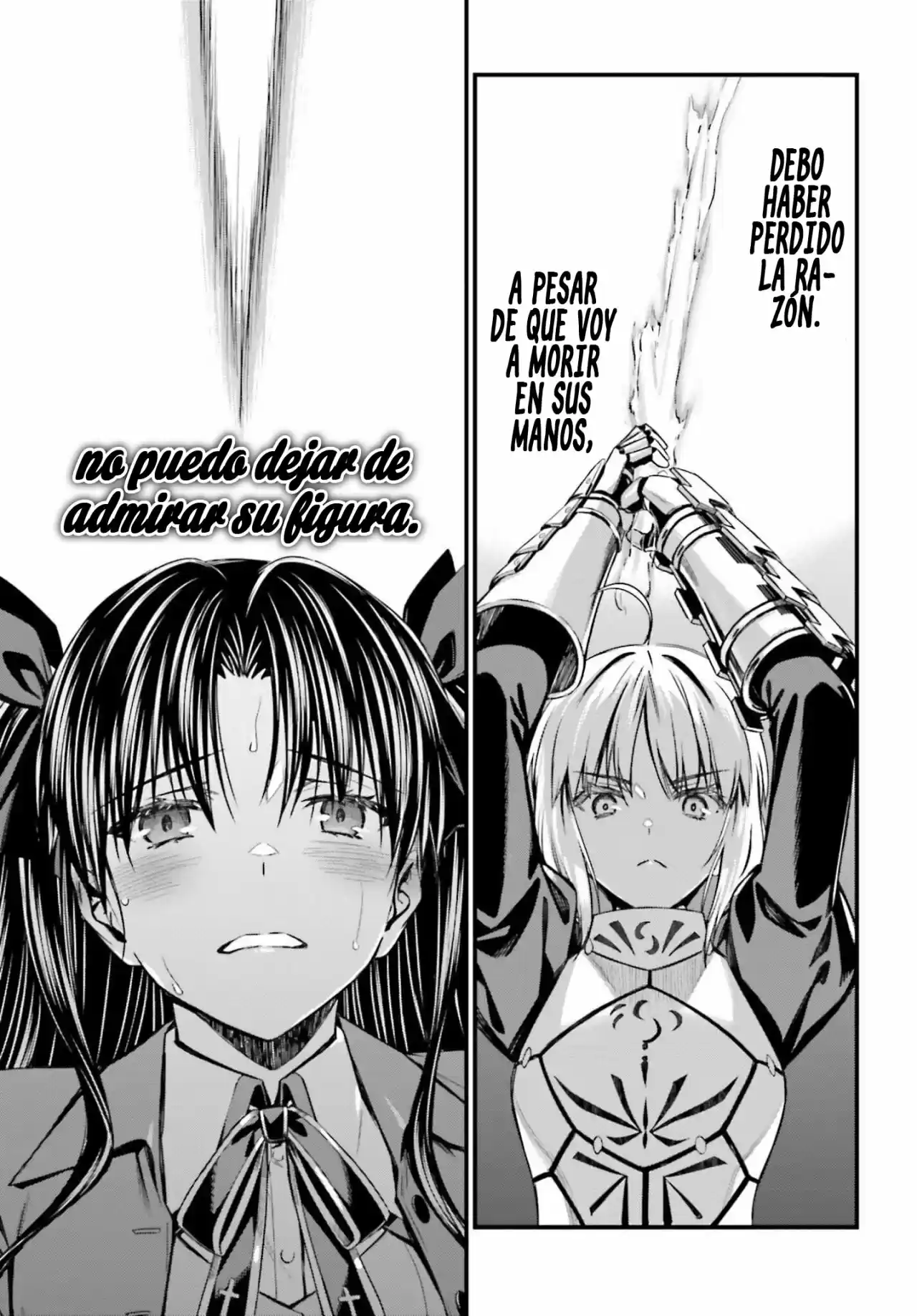 Fate/stay Night: Unlimited Blade Works - Capítulo 2 - Página 52 - LectorTMOo