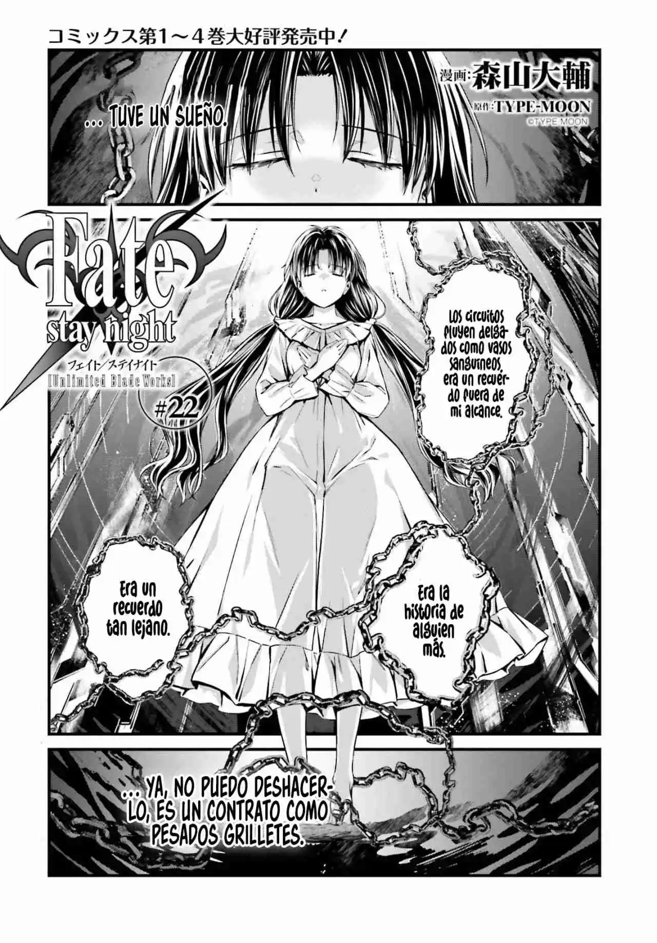 Fate/stay Night: Unlimited Blade Works - Capítulo 22.10 - Página 3 - LectorTMOo