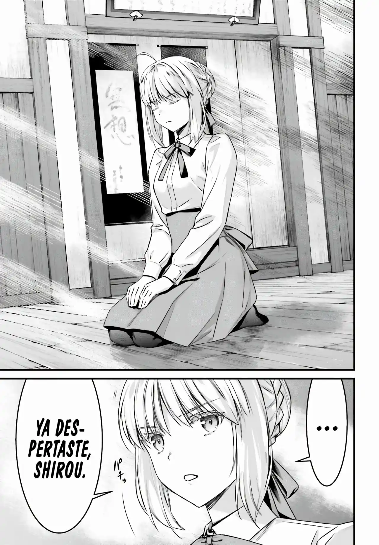 Fate/stay Night: Unlimited Blade Works - Capítulo 9 - Página 16 - LectorTMOo