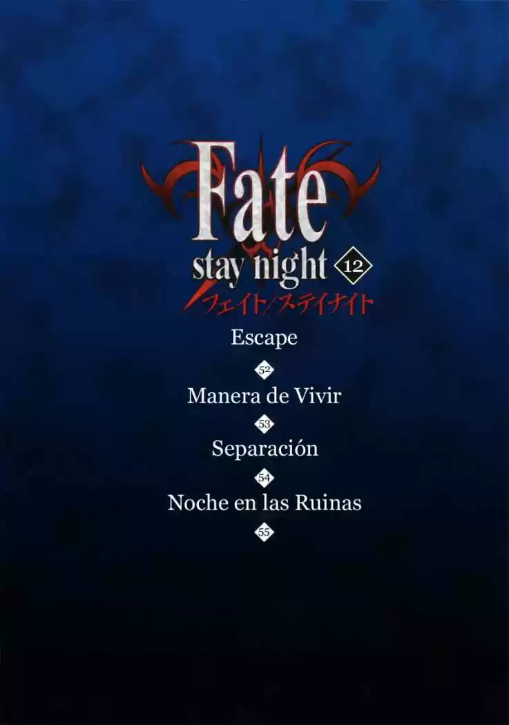 Fate Stay Night - Capítulo 52 - Página 4 - LectorTMOo