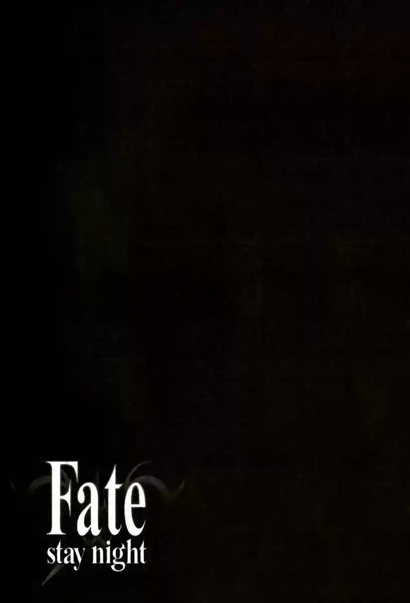 Fate Stay Night - Capítulo 80 - Página 37 - LectorTMOo