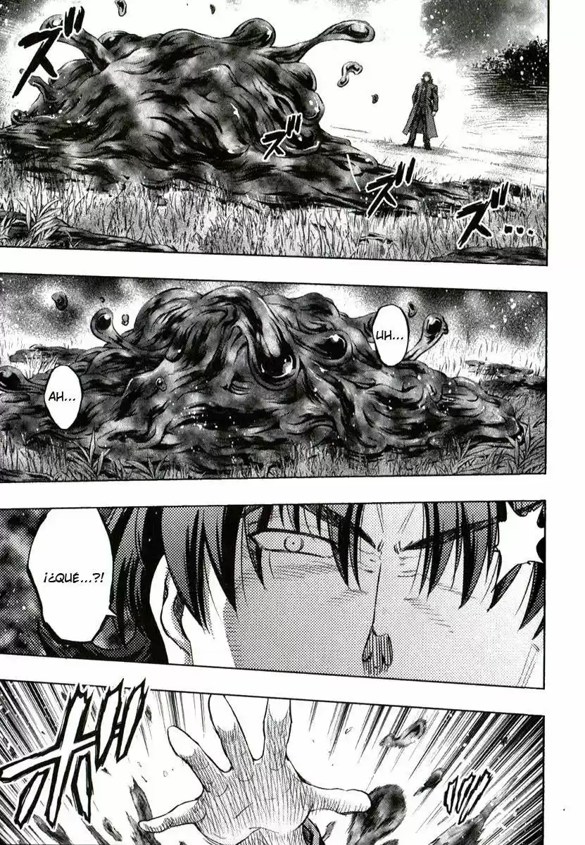 Fate Stay Night - Capítulo 83 - Página 36 - LectorTMOo