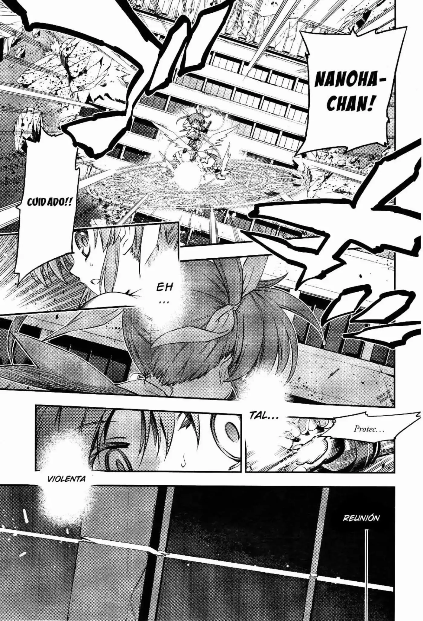 Fate/Stay Nigth X Magical Girl Lyrical Nanoha - Capítulo 1 - Página 24 - LectorTMOo