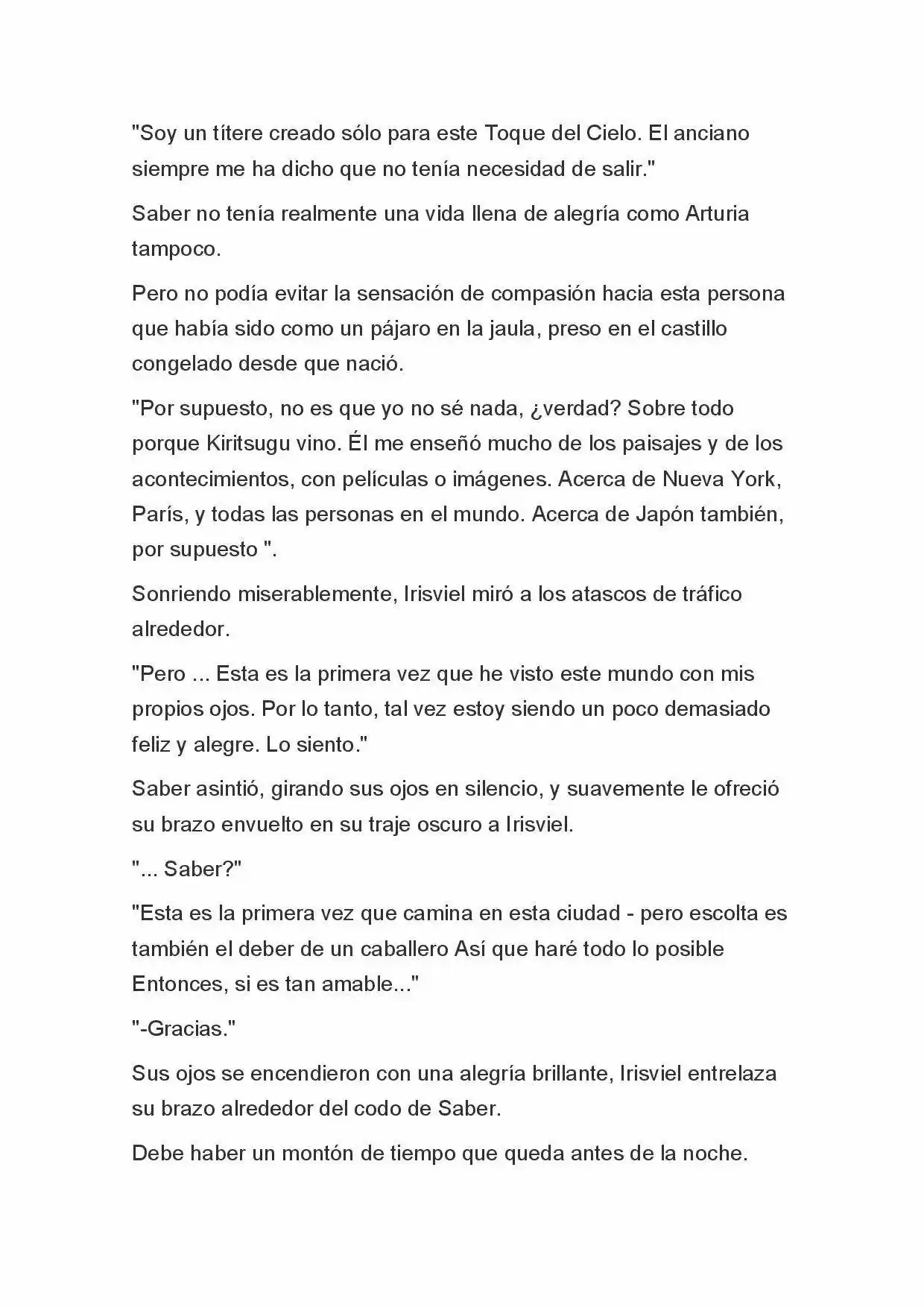 Fate Zero Novela capítulo 14 página 11