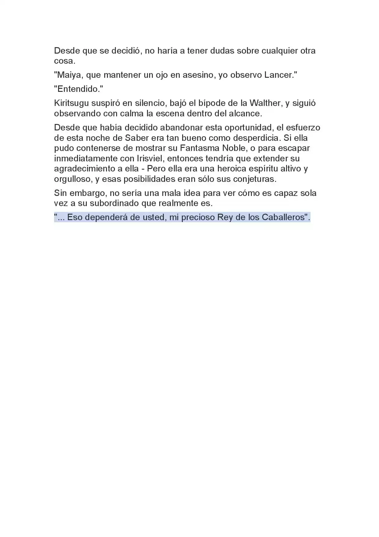 Fate Zero Novela capítulo 16 página 13