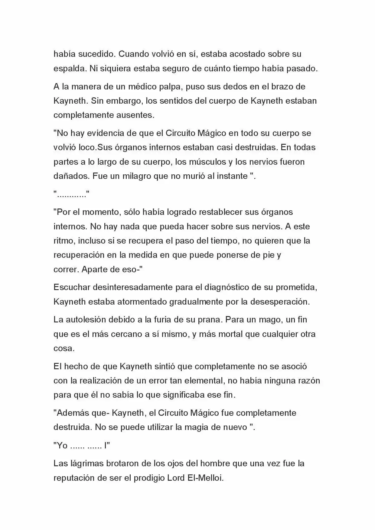 Fate Zero Novela capítulo 37 página 6