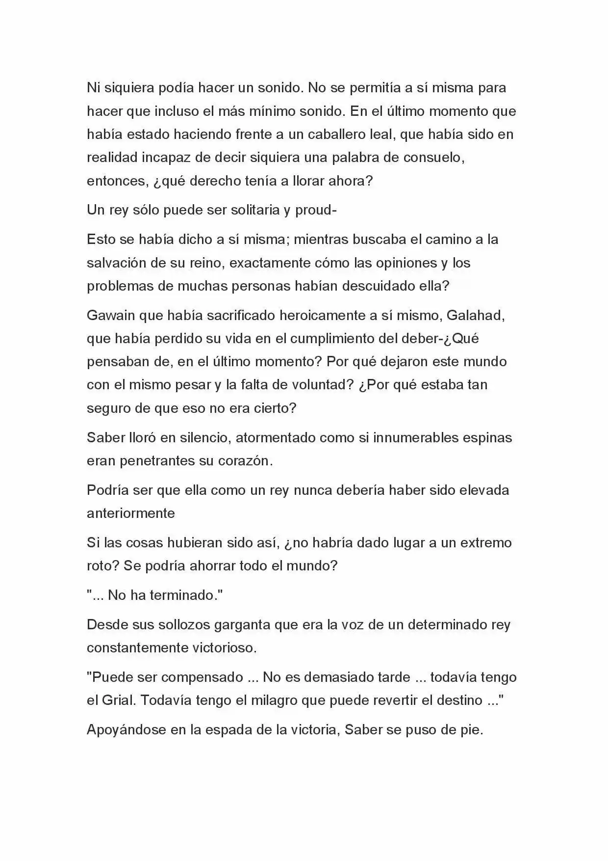 Fate Zero Novela capítulo 84 página 13