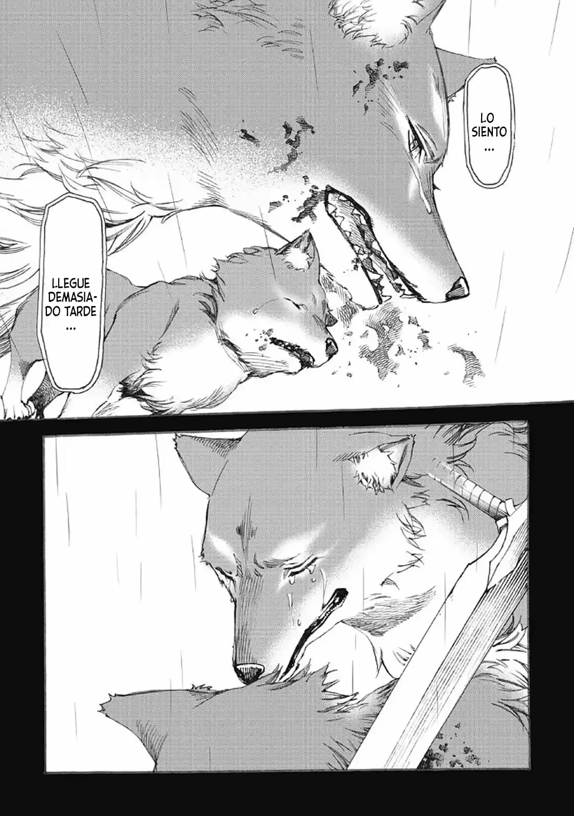 Fenrir Kaasan To Attakago Meshi: Isekai Mofumofu Seikatsu - Capítulo 11 - Página 10 - LectorTMOo