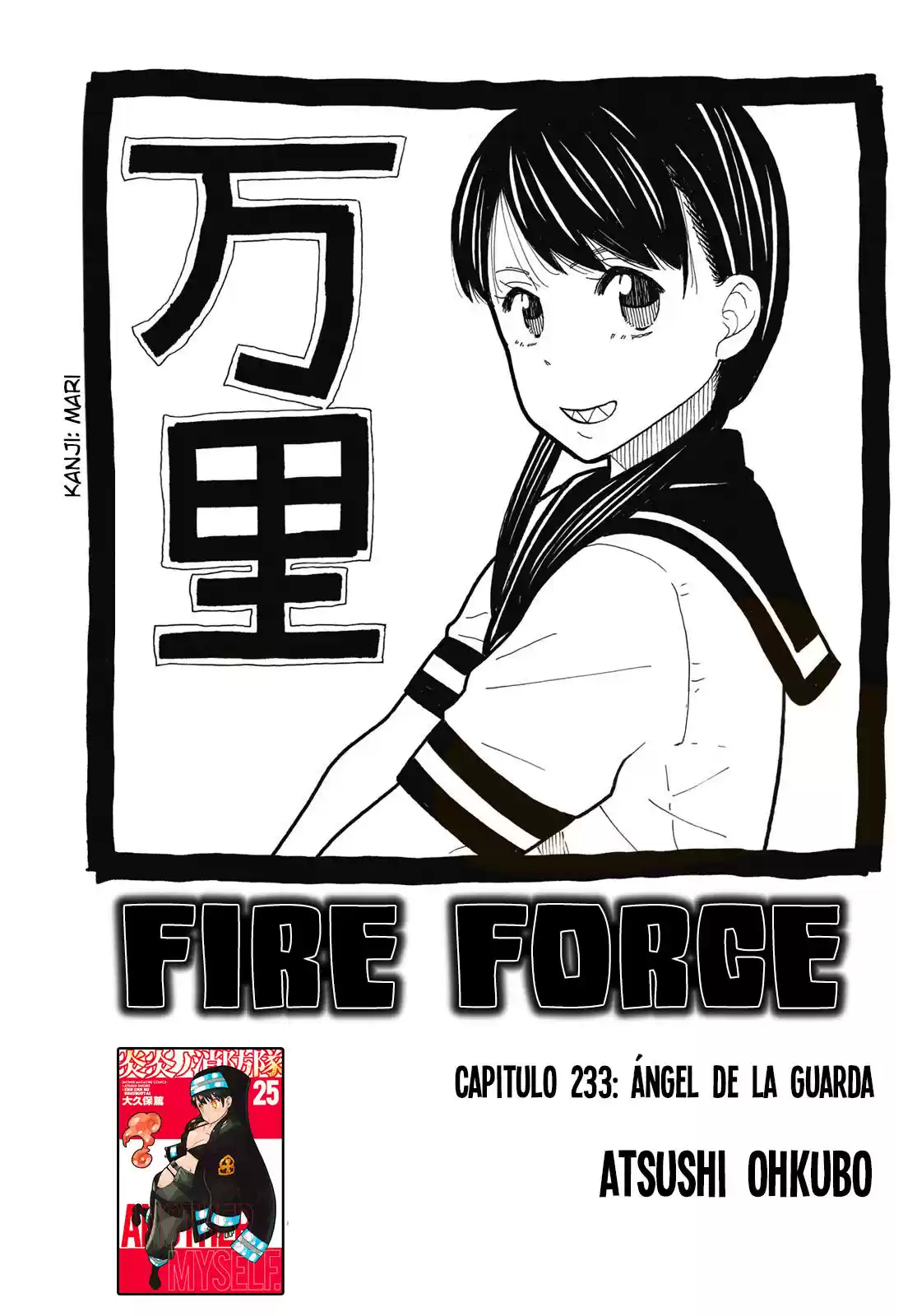 Fire Brigade Of Flames - Capítulo 233 - Página 2 - LectorTMOo