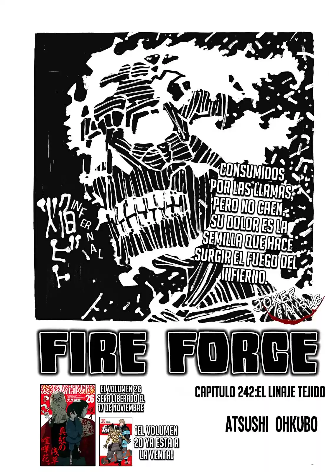 Fire Brigade Of Flames - Capítulo 242 - Página 2 - LectorTMOo