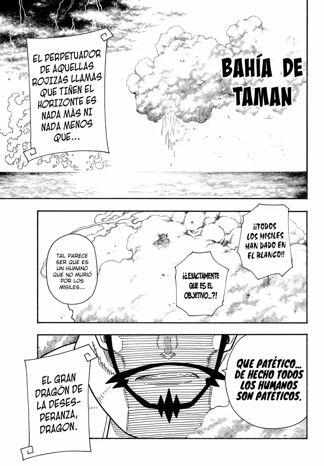 Fire Force - Capítulo 262 - Página 17 - LectorTMOo