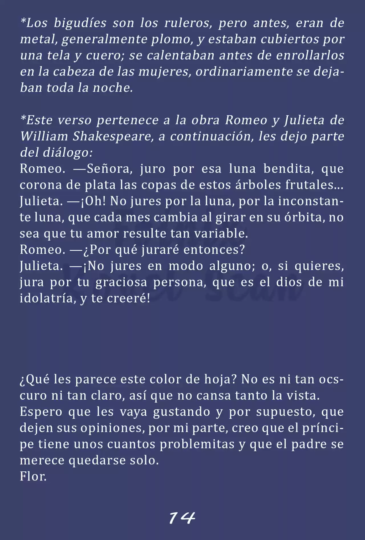 Fleur (Novela) - Capítulo 9 - Página 15 - LectorTMOo