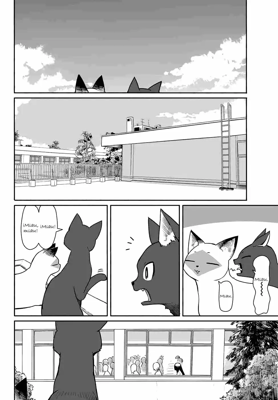 Flying?Witch - Capítulo 33 - Página 17 - LectorTMOo