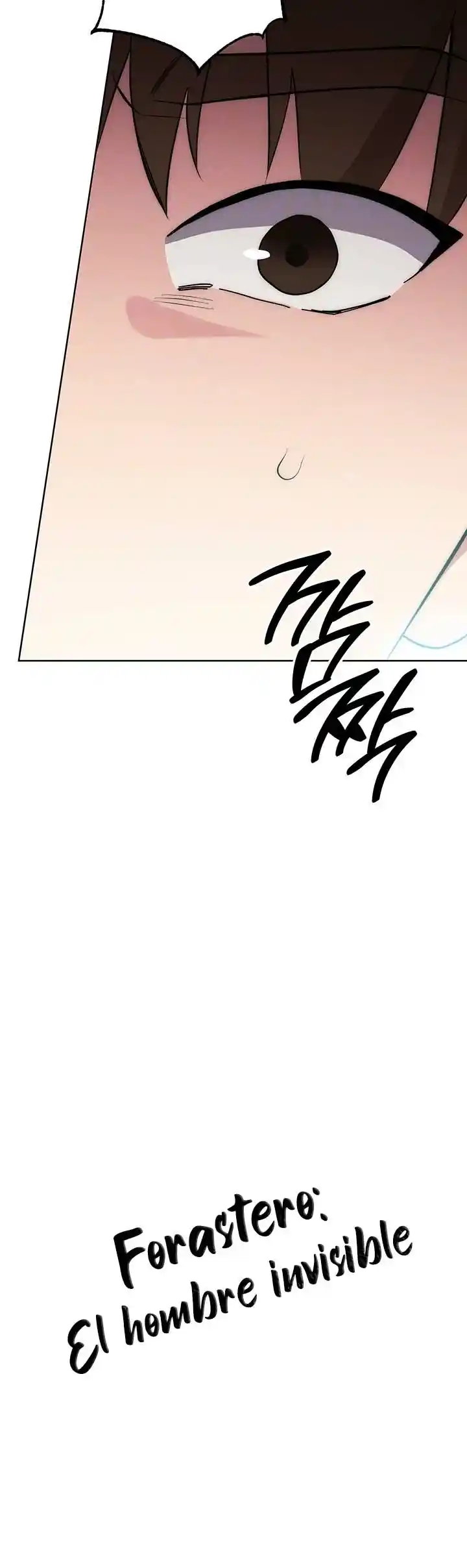 Forastero: El Hombre Invisible - Capítulo 4 - Página 5 - LectorTMOo