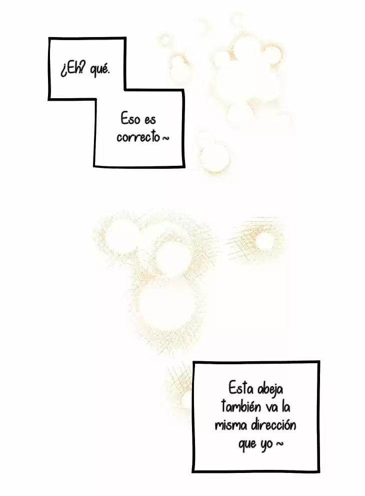 Fortuna O Aflicción? - Capítulo 16 - Página 72 - LectorTMOo
