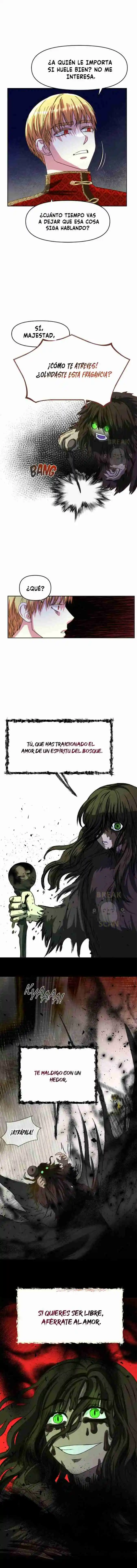 Fragancia Magica - Capítulo 2 - Página 10 - LectorTMOo