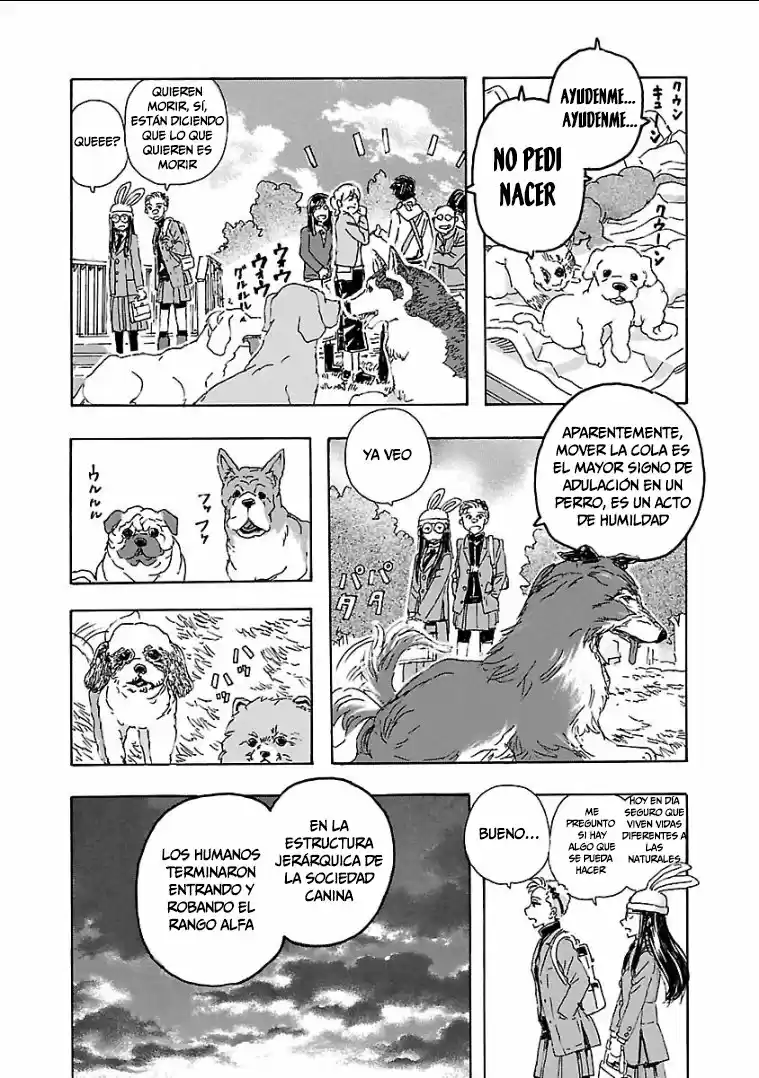 Franken Fran Frantic - Capítulo 3.20 - Página 11 - LectorTMOo