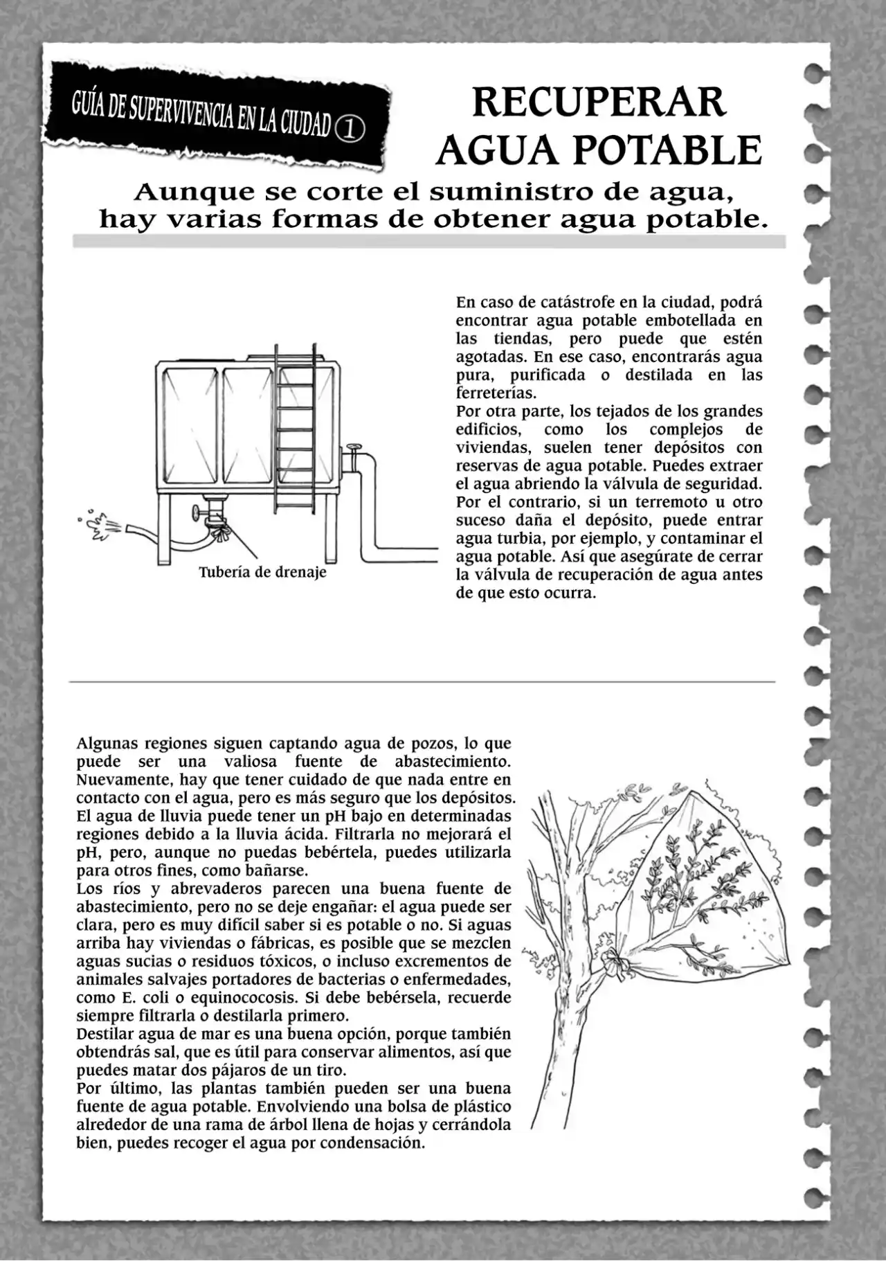 From The Children's Country - Capítulo 1 - Página 63 - LectorTMOo