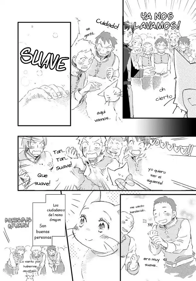 Fukushuu Wo Chikatta Shironeko Wa Ryuuou No Hiza No Ue De Damin Wo Musaboru - Capítulo 14 - Página 31 - LectorTMOo
