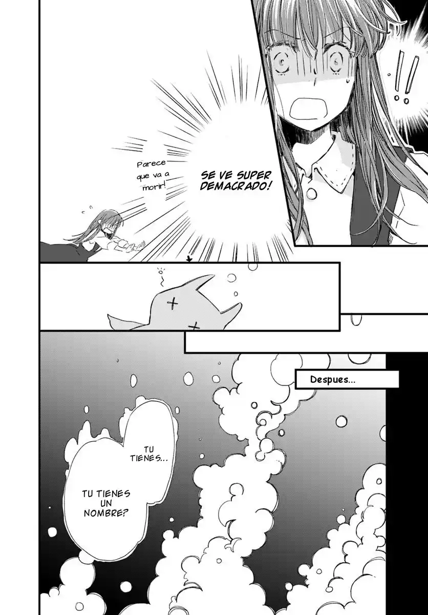 Fukushuu Wo Chikatta Shironeko Wa Ryuuou No Hiza No Ue De Damin Wo Musaboru - Capítulo 15 - Página 9 - LectorTMOo