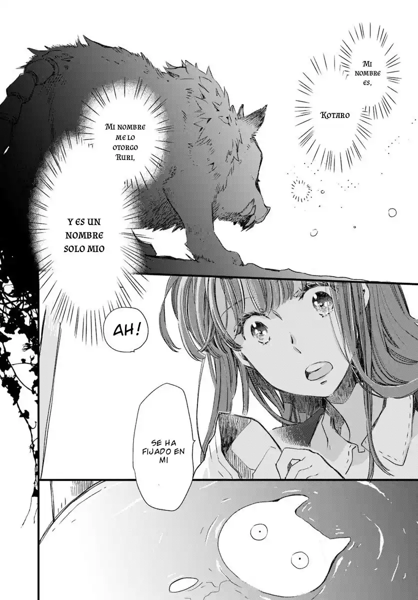 Fukushuu Wo Chikatta Shironeko Wa Ryuuou No Hiza No Ue De Damin Wo Musaboru - Capítulo 15 - Página 11 - LectorTMOo