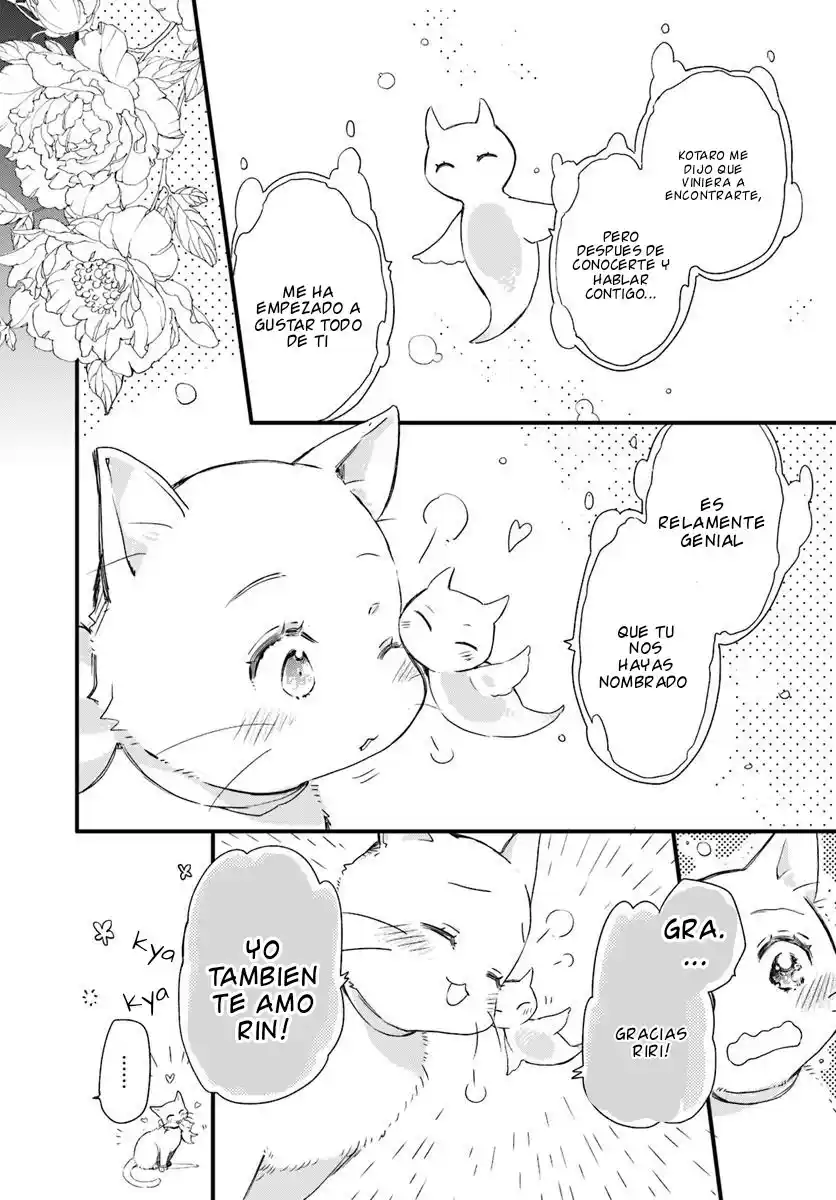 Fukushuu Wo Chikatta Shironeko Wa Ryuuou No Hiza No Ue De Damin Wo Musaboru - Capítulo 15 - Página 25 - LectorTMOo